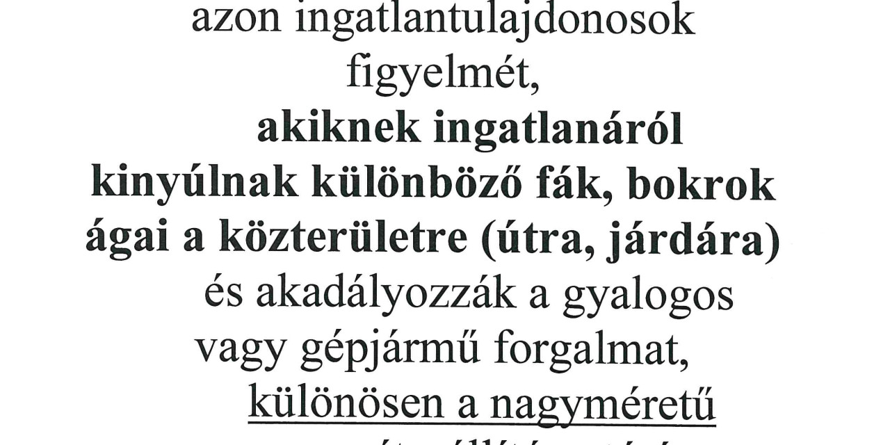 Felhívás
