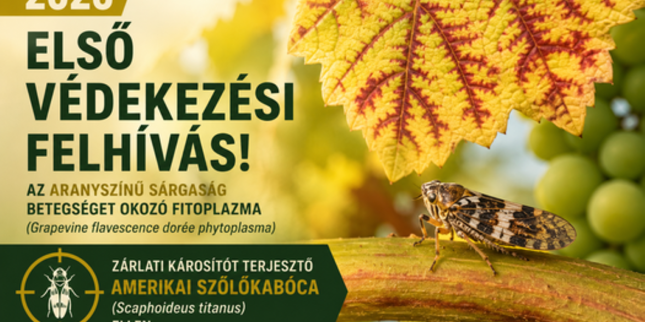Felhívás minden szőlőtermelő részére!